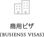 BUSINESS VISA