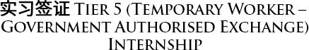 tier 5 (temporary worker – government authorised exchange) internship