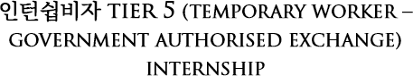 인턴쉽비자 tier 5 (temporary worker – government authorised exchange) internship